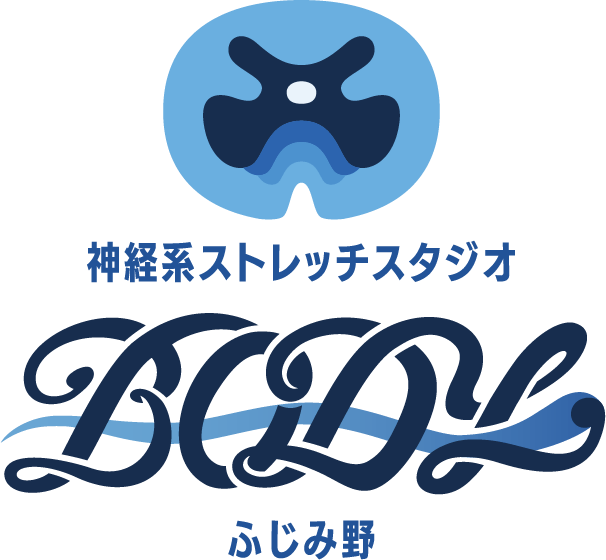 神経系ストレッチスタジオ BODY ふじみ野